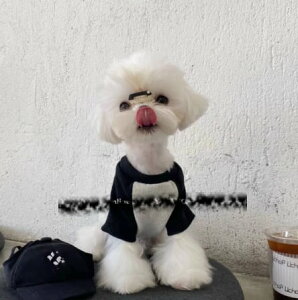   TVc mg[ JWA ^ ^ t H ~ 킢  ybgEFA d˒