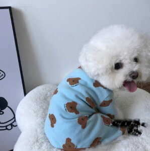   pW} ~ t H ^ ^ efBxA Ȃ p[X  h 킢