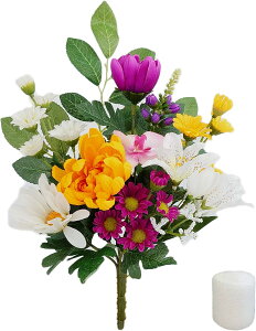  \핧 33cm dp p Aޕt (1) z
