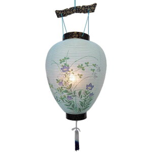 ~ ~傤 ~ 䏊 LED[\N drt R[hX 48cm×Α܌a28cm G͗l  a ݂