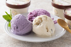 果樹園生まれの出来立てぶどうのジェラート3種　各2個6個セット【送料無料】