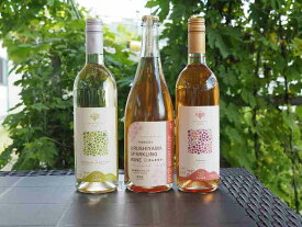 漆山果樹園ワインセット