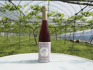 ʏ`100W[XuԂǂv500ml