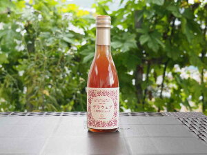 ʏ`100W[XufEFAv250ml