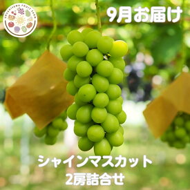 山形産高級ぶどうシャインマスカット厳選品2房詰合