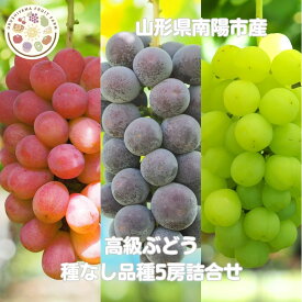 種なし品種5房詰合限定品
