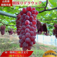★完熟ぶどう種無しデラウェア☆【送料無料】【クール便】8月お届け先行予約！同一箇所に3箱注文で1箱サ…