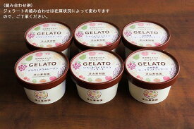果樹園生まれのジェラート「おまかせ」6個セット（1カップ80ml・2〜4種）