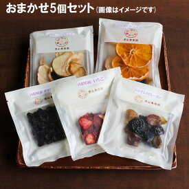 陽果ドライ「果物おまかせ5袋セット」1セットまでネコポス便で発送　送料お得！