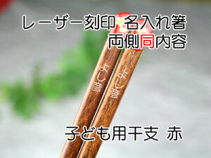 xqpPi@e NAbsOtyؑ]̎悵Fz