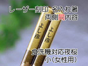 H@ΉPi@@e@yؑ]̎悵Fz