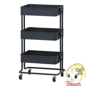 y11/10͊ԌN[|szLb`S  sf oXPbg3i ubN y[J[zy/srmz