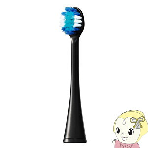 �y�݌ɂ���z�p�i�\�j�b�N �ɍזуu���V �R���p�N�g �h���c��p �փu���V �� 2�{�� EW0800-K