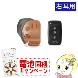 【最大4000円OFFクーポン発行 4/24 20時~4/25 23:59迄】【あす楽】【在庫あり】【右耳用】ONKYO オンキヨー 耳あな型補聴器 小型 軽量 デジタル 補聴器 敬老 プレゼント OHS-D31R【/srm】