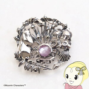 y11/10͊ԌN[|szy݌ɂzu[`/y_gwbh R [~ƃr[ Vo[925y/srmz