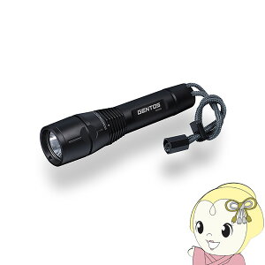 y11/10͊ԌN[|sznfBCg GENTOS nCGhf GV[Y [dnfBCg GF-116RGy/srmz