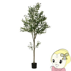 【最大4000円OFFクーポン発行 4/24 20時~4/25 23:59迄】観葉植物 フェイクグリーン オリーブ おしゃれ 180cm ジョイント【/srm】