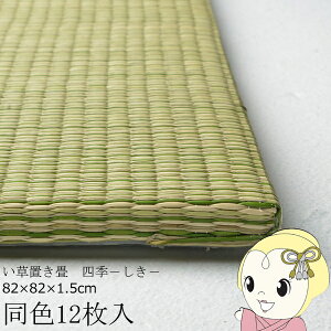 y12/1Gg[œXSiőP7{zu  F12Zbg 82×82cm Ԃ̂łɂu tb^ lG jbg O[y/srmz