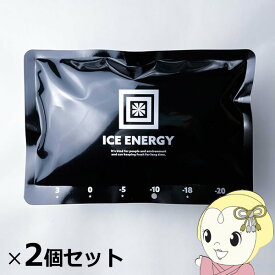 【在庫あり】保冷剤 お買い得2個セット アトム技研 アイスエナジー アルミソフトケース500 IEASG2-10-500【/srm】