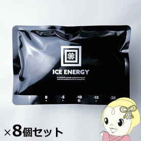 【在庫あり】保冷剤 お買い得8個セット アトム技研 アイスエナジー アルミソフトケース500 IEASG2-10-500【/srm】