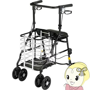 }LebN Vo[J[ IAVXS e S HM-W1y/srmz