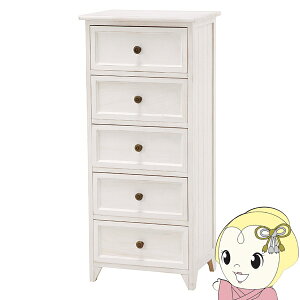 `FXg 5i 41cm  Ƌ t`Jg[ rO Lrlbg ؍ AeB[N zCgy/srmz