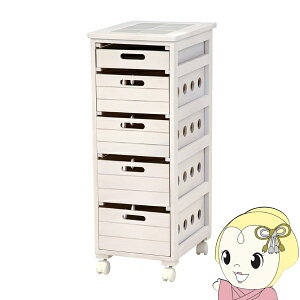 y12/1Gg[œXSiőP7{zLb`XgbJ[ ؐ S 5i 30cm zCgEHbV ؃XgbJ[  Lb`S XgbJ[y/srmz