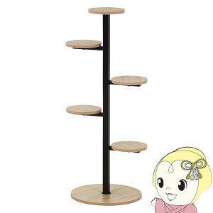 y11/15͊ԌN[|szfBXvCX^h ubN v^[X^h@y/srmz