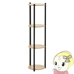 yԌN[|szfBXvCX^h ubN 4i v^[X^h@y/srmz