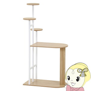 TChe[u fBXvCTChe[u zCg v^[X^h 64cm y/srmz