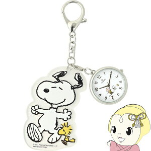 Xk[s[ v s[ibc _CJbgANL[`F[ EHb` PNT035-3DAN