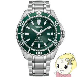 rv v}X^[ PROMASTER Marine BN0199-53X Y Vo[ V`Y Citizeny/srmz