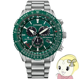 y11/1Gg[œXSiőP7{zrv v}X^[ CB5004-59W Y Vo[ V`Y Citizeny/srmz