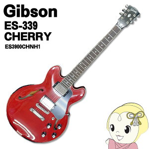 エレキギター es-339の人気商品・通販・価格比較 - 価格.com