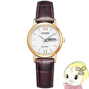 y11/10͊ԌN[|szrv V`Y RNV GREhCu EW3252-07A uE V`Y Citizeny/srmz