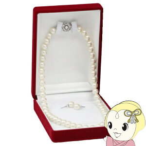 y11/10͊ԌN[|szPure { Lp[ lbNXsAXZbg 8mm zCg(LXJ) 42cm ԃJ cp    V tH[}