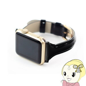 y11/10͊ԌN[|szWEARPLANET Apple Watch 41 40 38mmpSlim Line {v Gioh fB[vubN WP23097AWBK