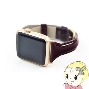 y11/10͊ԌN[|szWEARPLANET Apple Watch 41 40 38mmpSlim Line {v Gioh K[lbguE WP23098AWBR