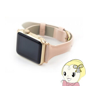 y11/10͊ԌN[|szWEARPLANET Apple Watch 41/40/38mmpSlim Line {v Gioh eBbNhsN WP23100AWPK