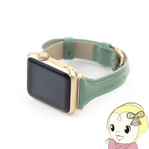 WEARPLANET Apple Watch 41/40/38mmpSlim Line {v Gioh XO[ WP23101AWGR