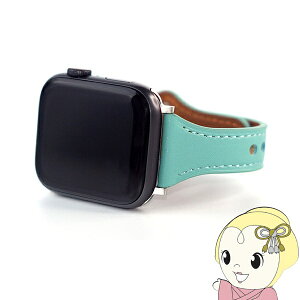 y11/15͊ԌN[|szWEARPLANET Apple Watch 41 40 38mmpSlim Line tbg{voh nj[f[~g WP23218AWMT