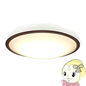 y11/10͊ԌN[|szLEDV[OCg ACXI[} 12 EF Ebht[ CEA12DL-50QWFMy/srmz