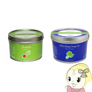 y[J[z͔|Zbg gK[fv fBbV `QTC LGP-03 LGP-04 2ʃZbg