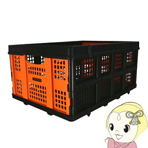 y11/15͊ԌN[|szy݌ɂz܂肽ݎ oXPbg BLACK{DECKER ubNfbJ[ BXWT-H205 [BXWTH205]y/srmz