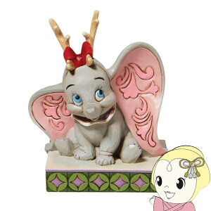 y12/5͊ԌN[|szy݌ɂzfBYj[EgfBV fBYj[tBMA giJC̊p_{ _{ enesco GlXR @6008985y/srmz