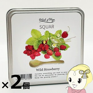 y12/5͊ԌN[|szy[J[z͔|Zbg n[u xWXNGA ChXgx[ HG-38 2Zbg