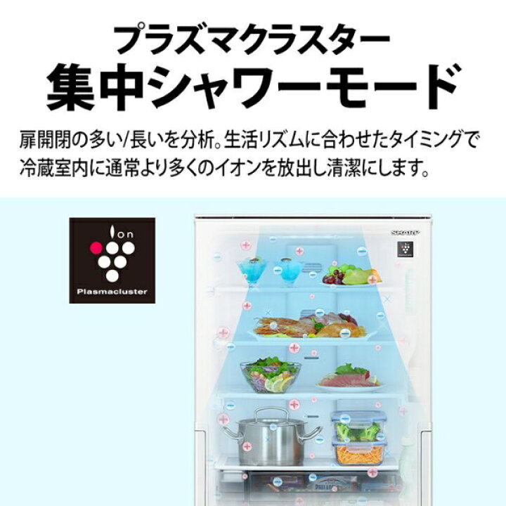 楽天市場】【8/1限定ｴﾝﾄﾘｰで全品最大P7倍】[予約 約1-2週間以降]【標準 