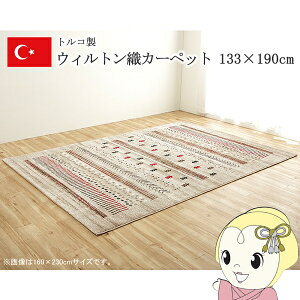 y10/18̓_ChGg[œXSiőP8{zJ[ybg EBgJ[ybg EBgD x[W 133×190cm Mbx RۖhL gRy/srmz