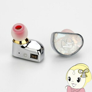 �y1/10�͊��Ԍ���N�[�|�����s�zDARUMA AUDIO �_���}�I�[�f�B�I �J�i���^ �C���z�� Vento Conductor T5000�y/srm�z