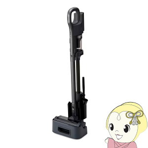 y11/5͊ԌN[|sz[dTCNXeBbNN[i[ ACXI[} daspo |@ O[ SCD-190P-Hy/srmz